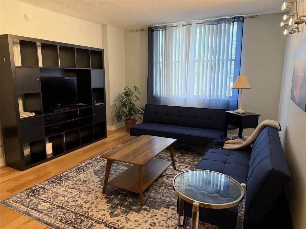 701 S MADISON AVENUE #405 Clearwater, FL 33756