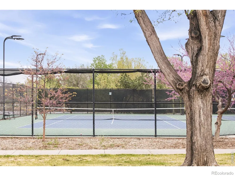 649 S Ogden Street Denver, CO 80209