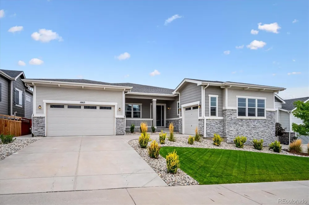 1665 Gentle Rain Drive Castle Rock, CO 80109