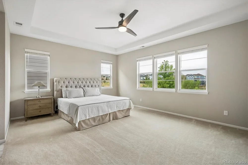 1665 Gentle Rain Drive Castle Rock, CO 80109