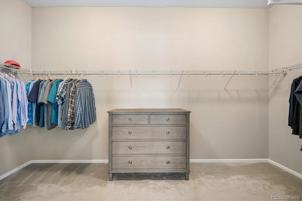1665 Gentle Rain Drive Castle Rock, CO 80109