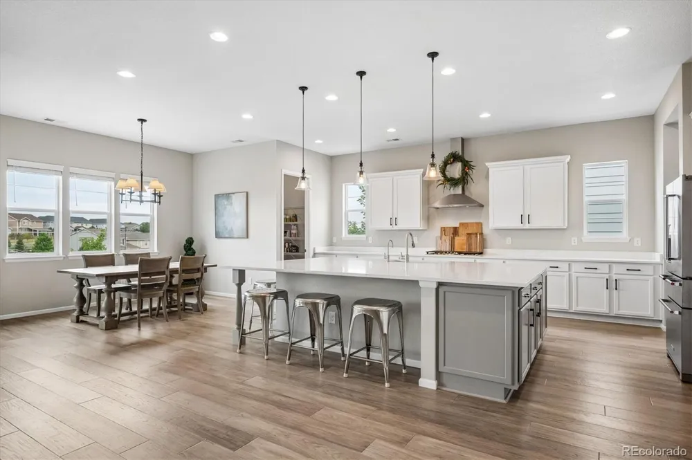 1665 Gentle Rain Drive Castle Rock, CO 80109
