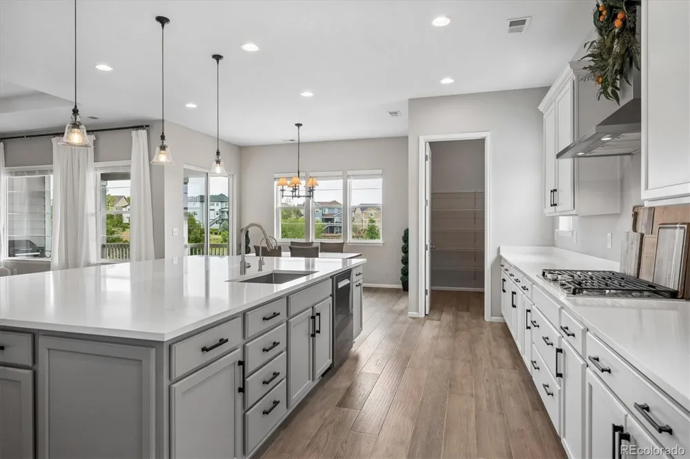 1665 Gentle Rain Drive Castle Rock, CO 80109