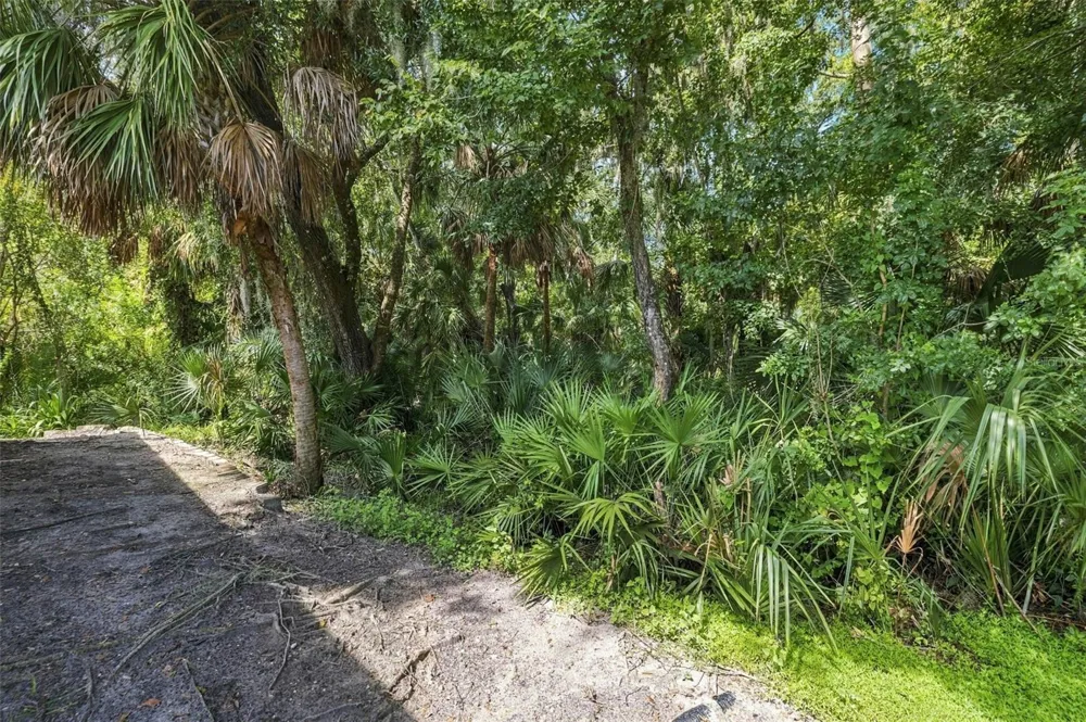 624 KINGSMILL COURT Oldsmar, FL 34677