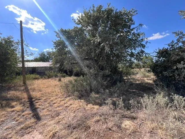 C.R. 241 Clyde, TX 79510