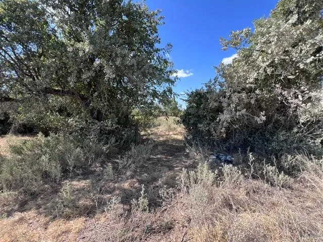 C.R. 241 Clyde, TX 79510