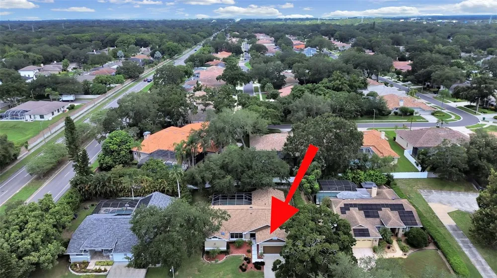 611 TOMOKA DRIVE Palm Harbor, FL 34683