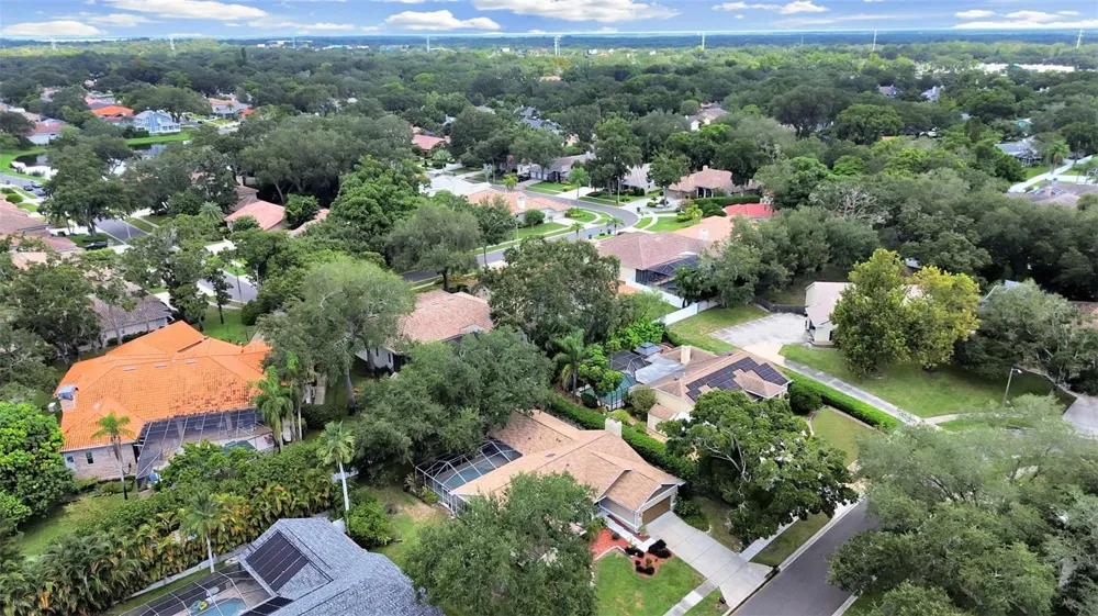 611 TOMOKA DRIVE Palm Harbor, FL 34683