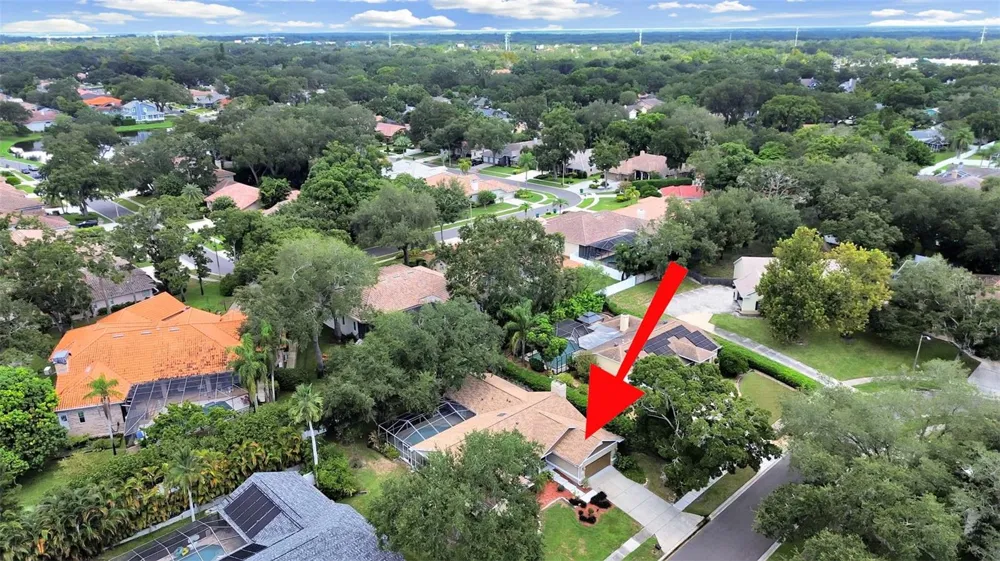 611 TOMOKA DRIVE Palm Harbor, FL 34683
