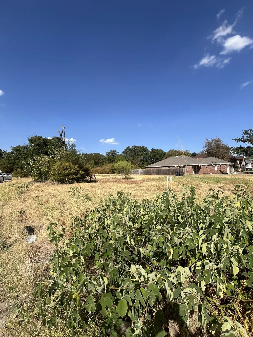 4775 Chapman Street Fort Worth, TX 76105