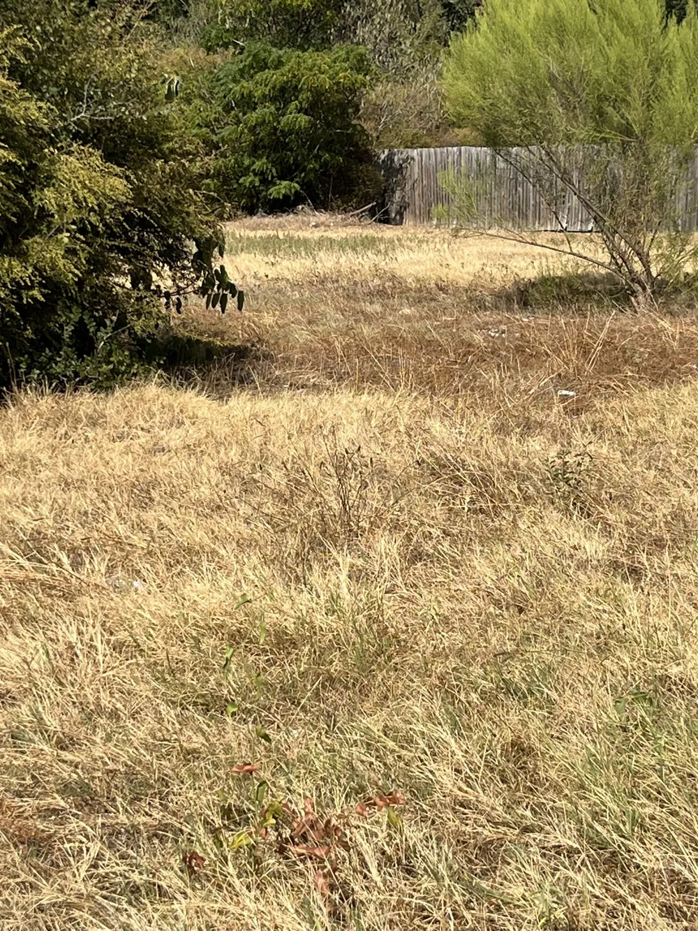 4775 Chapman Street Fort Worth, TX 76105