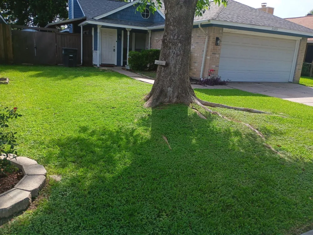 23215 Tree House Lane Spring, TX 77373