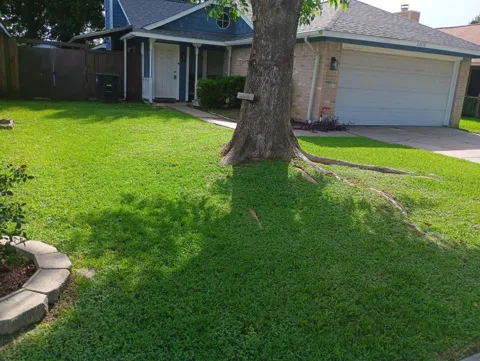 23215 Tree House Lane