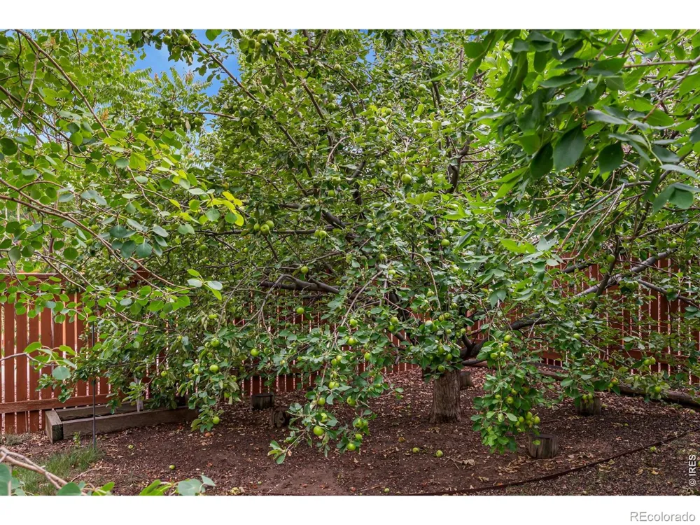 4153 Divide Drive Loveland, CO 80538