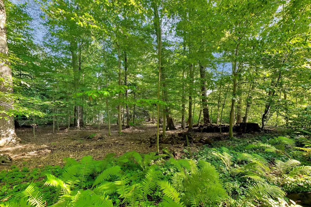 7043 Sand Dune Drive Sawyer, MI 49125