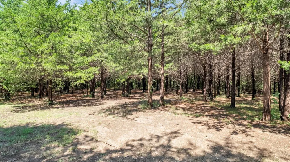 1011 Sister Grove Road Van Alstyne, TX 75495