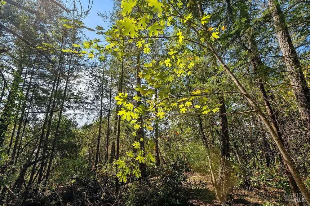 3360 Calistoga Road Santa Rosa, CA 95404
