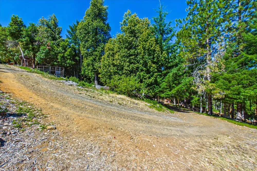 1 Cedar Street Blue Lake, CA 95525