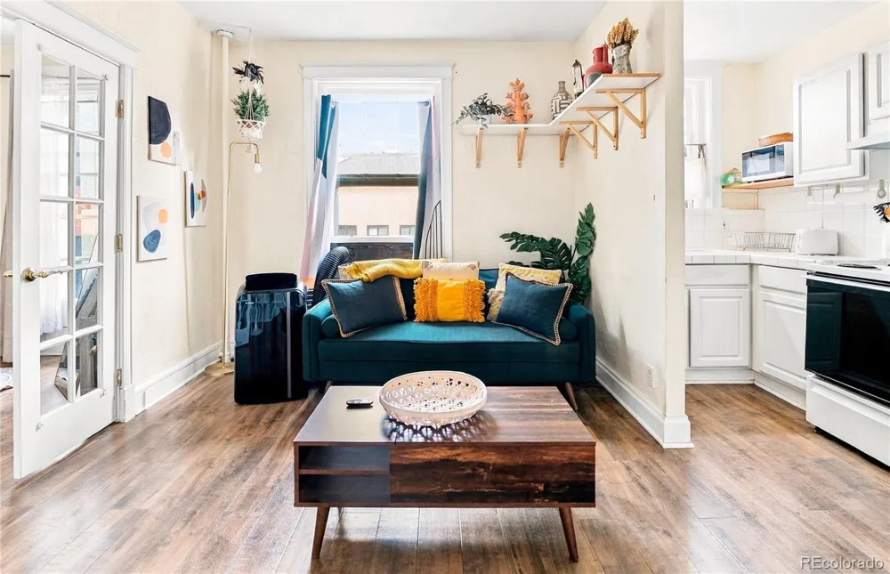 215 E 11th Avenue #C9 Denver, CO 80203