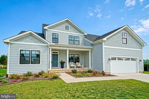 55 FILLY LANE