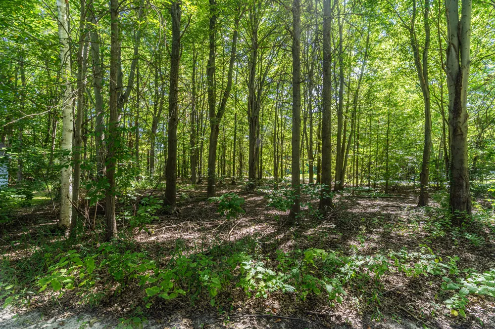 5480 Hidden Acres Court Holland, MI 49424