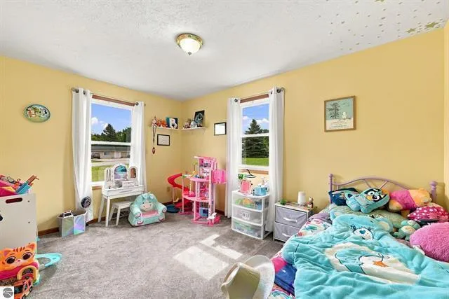 100 Sturtevant Street Manton, MI 49663