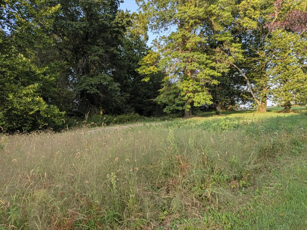 64444 Burr Oak Road Burr Oak Township, MI 49030