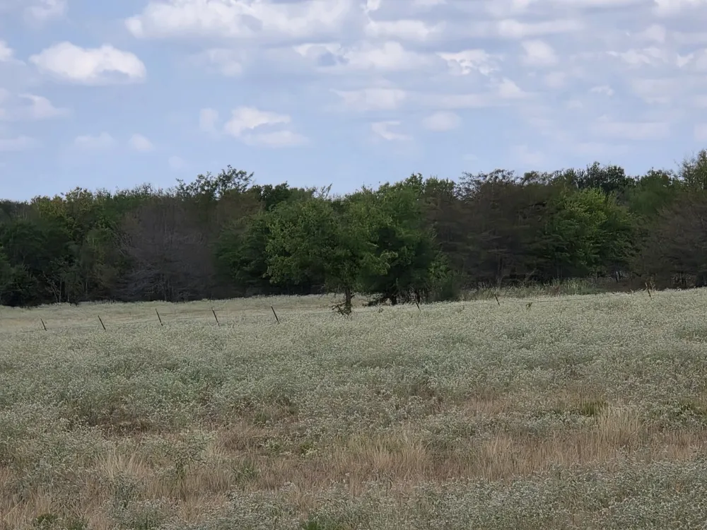 Fm 904 Commerce, TX 75428