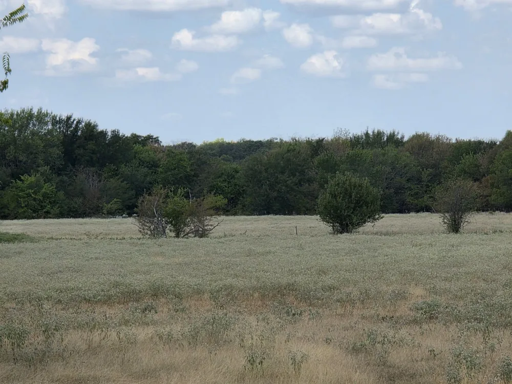 Fm 904 Commerce, TX 75428
