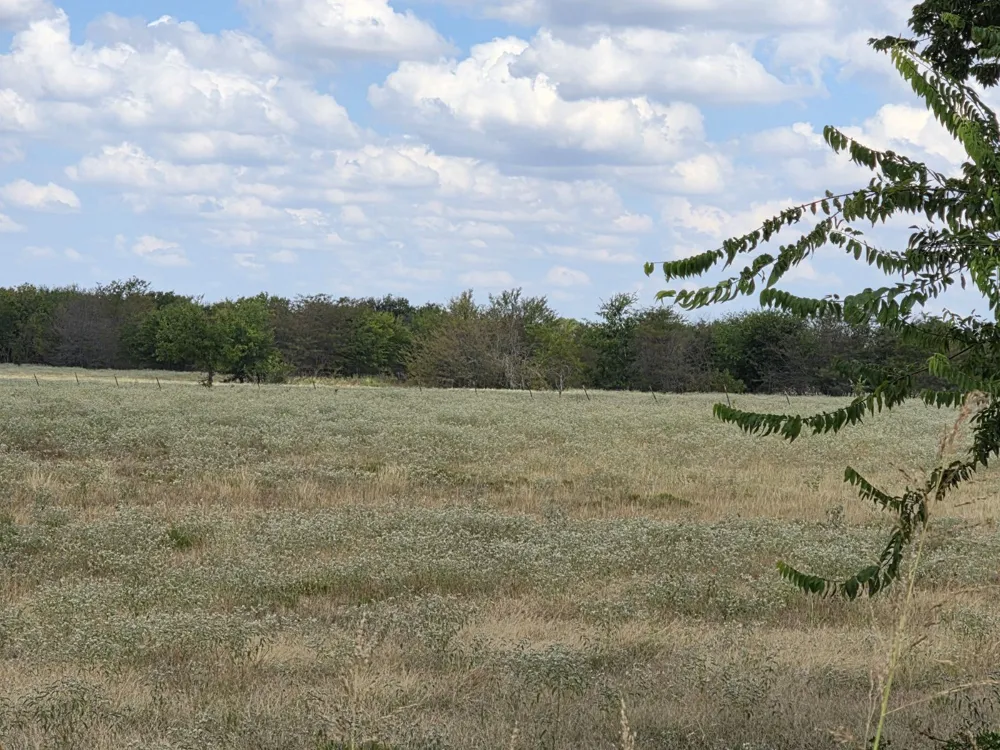 Fm 904 Commerce, TX 75428