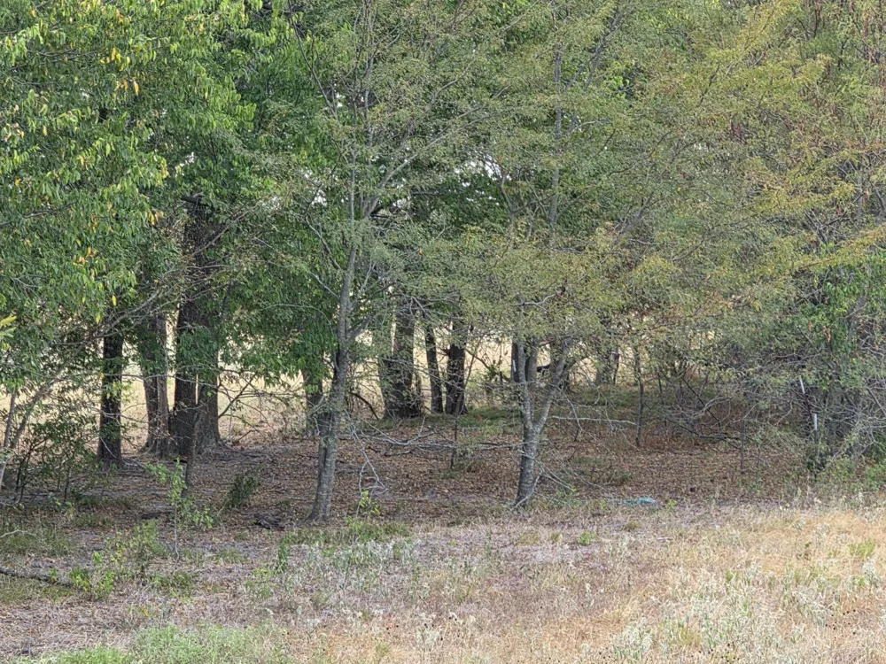Fm 904 Commerce, TX 75428