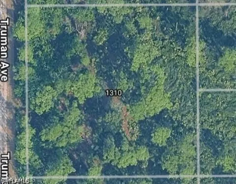Truman Avenue