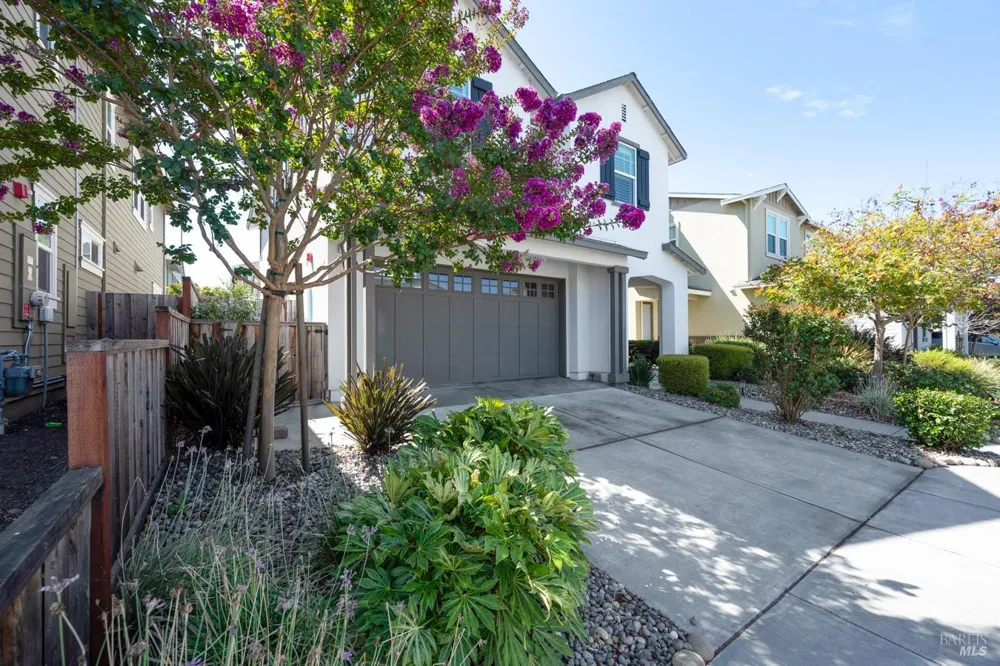 1653 Wildflower Way Rohnert Park, CA 94928