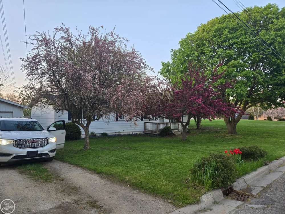 2547 Maple Street Deckerville Village, MI 48427