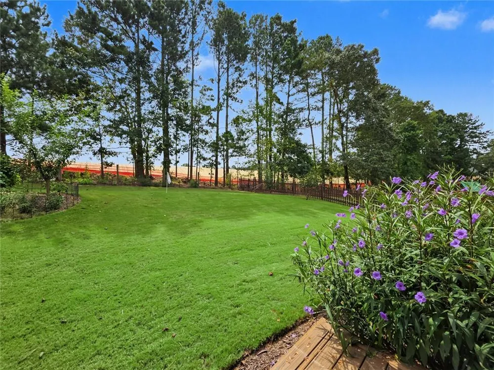 3377 Mulberry Lane Way Dacula, GA 30019