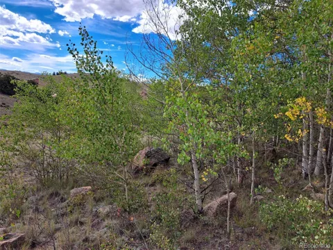 736 Stagestop Road
