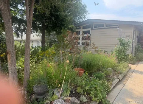 680 Bronco Road