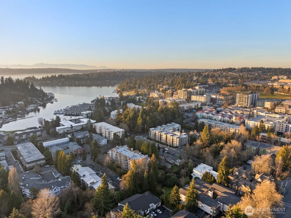 10237 SE 3rd Street #5 Bellevue, WA 98004