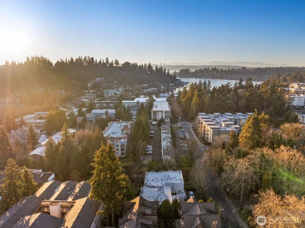 10237 SE 3rd Street #5 Bellevue, WA 98004