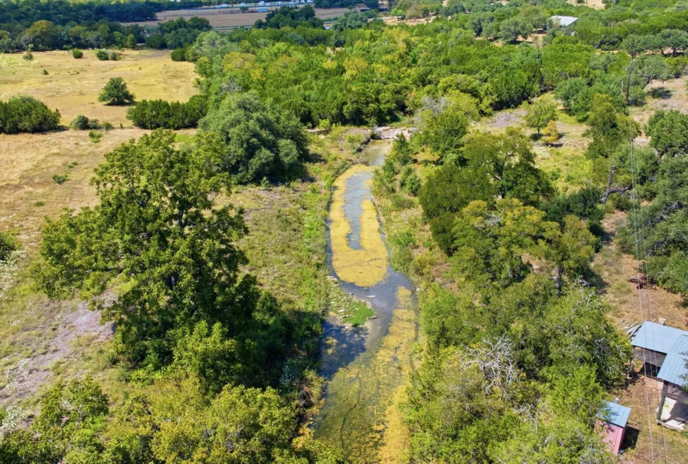 Nutty Brown Road Austin, TX 78737