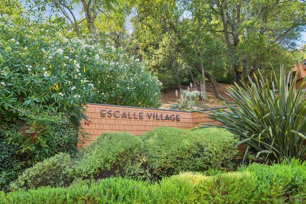 5 Escalle Lane Larkspur, CA 94939