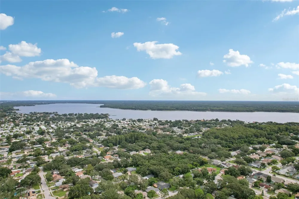 2866 THISTLE COURT Palm Harbor, FL 34684