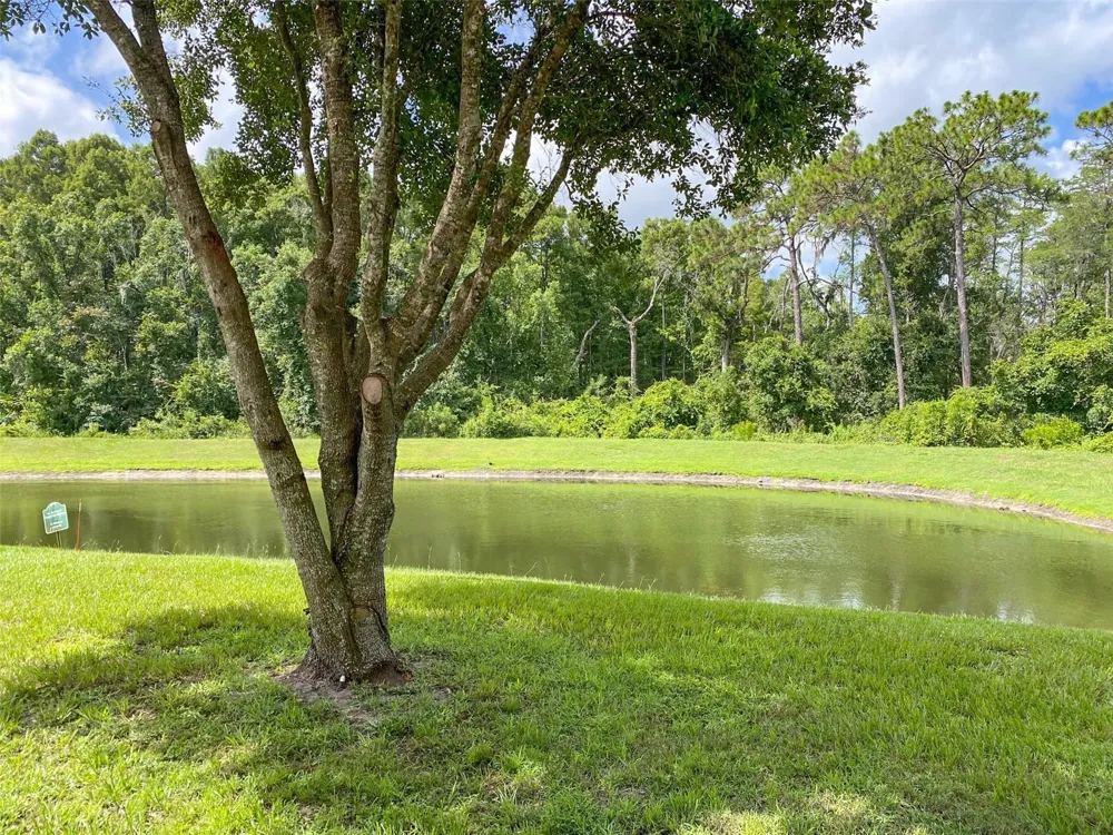 11944 PALM BAY COURT New Port Richey, FL 34654