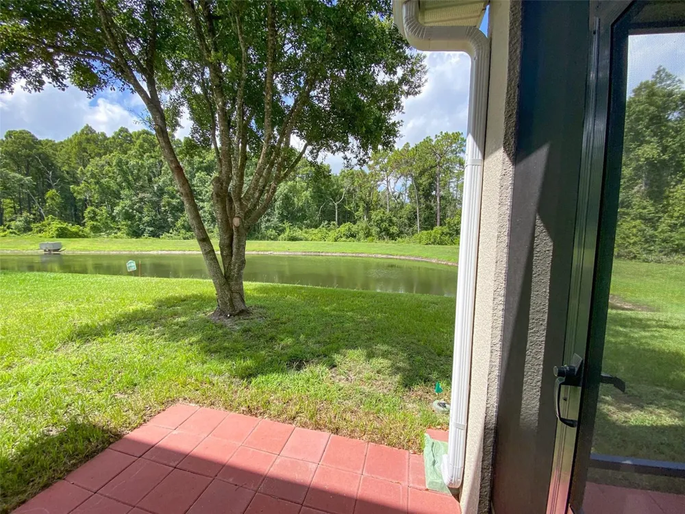 11944 PALM BAY COURT New Port Richey, FL 34654