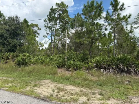 Truman Avenue