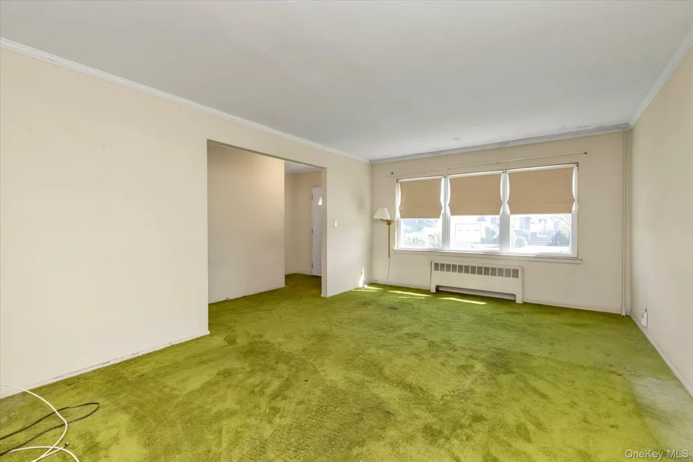 58 Elm Street Hicksville, NY 11801