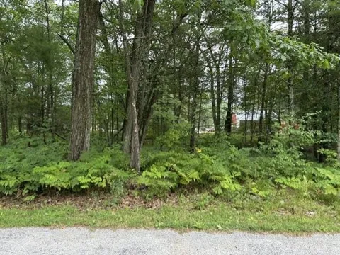 Wintergreen Street