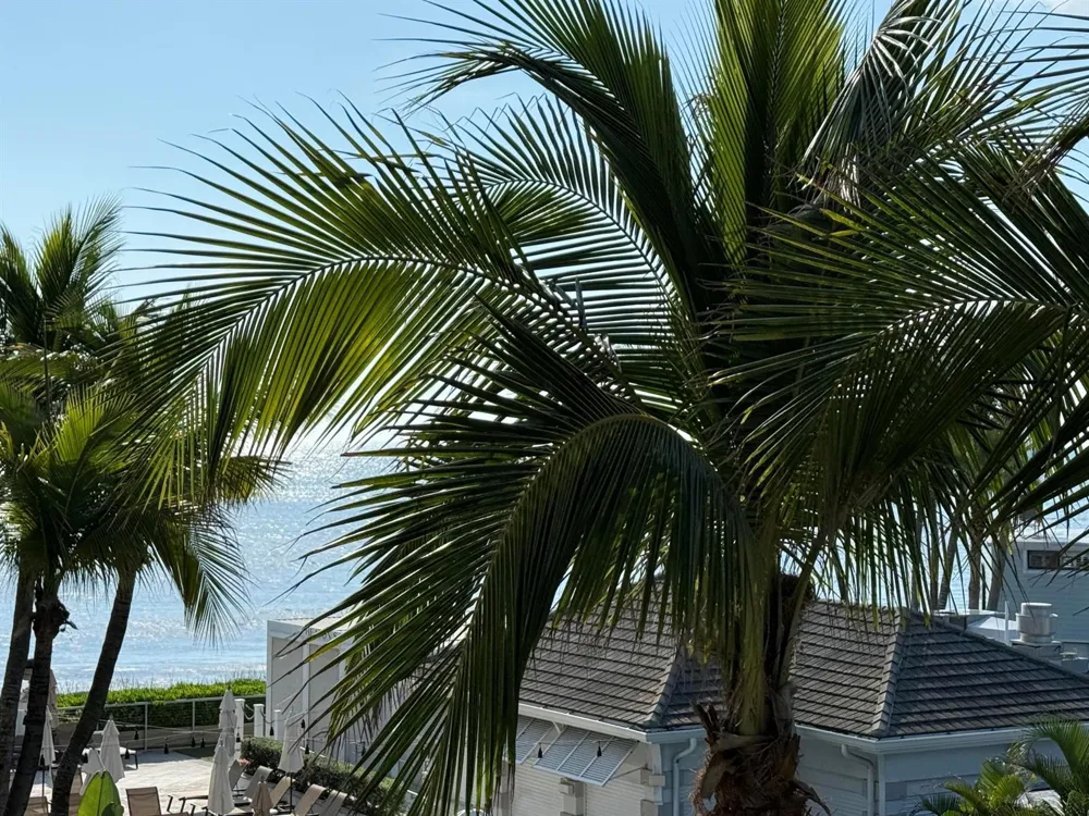 3500 OCEAN #312A and 312B Vero Beach, FL 32963