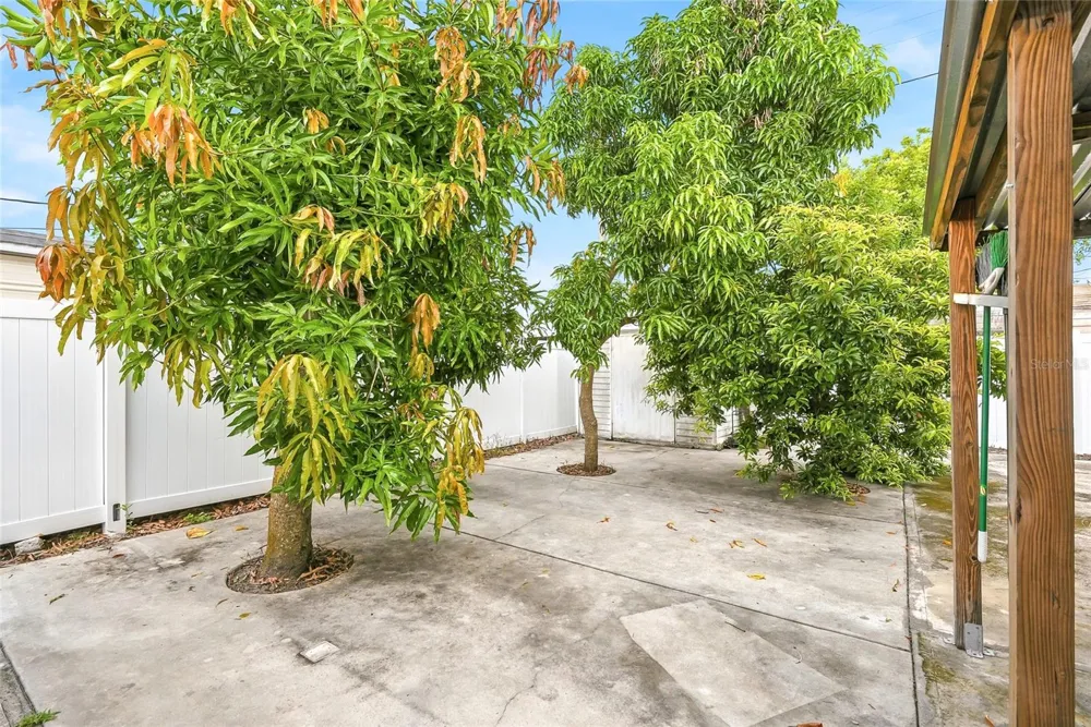 3118 RIVER COVE DRIVE Tampa, FL 33614