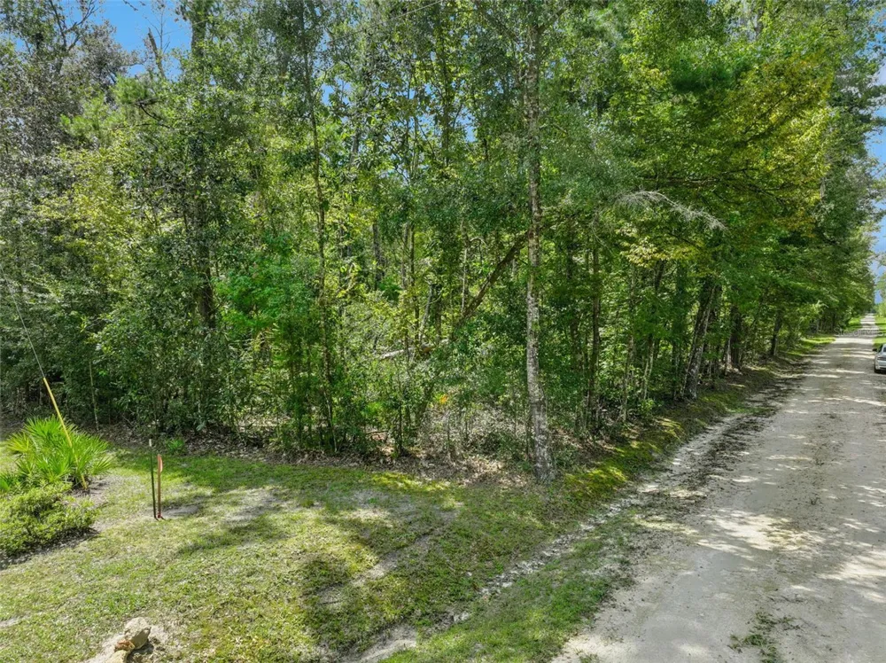 152ND PL Wellborn, FL 32094